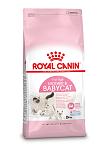 Royal Canin kattenvoer Mother & Babycat 2 kg