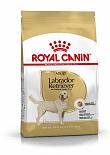 Royal Canin hondenvoer Labrador Retriever Adult 3 kg