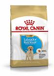 Royal Canin hondenvoer Labrador Retriever Puppy 3 kg