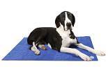 Scruffs Cooling Mat blue