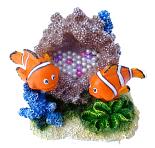 Aqua D'ella clown fish 8