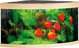 Juwel aquarium Trigon 350 LED licht eiken