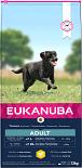 Eukanuba hondenvoer Active Adult Large Breed 12 kg