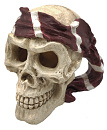 SuperFish Skull Red Pirate