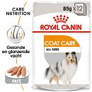 Royal Canin hondenvoer Coat Care Wet 12 x 85 gr