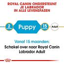 Royal Canin hondenvoer Labrador Retriever Puppy 3 kg