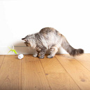 EBI Kattenspeelgoed Racing Roller