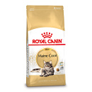 Royal Canin Kattenvoer Maine Coon Adult 4 kg