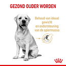Royal Canin Hondenvoer Labrador Retriever Adult 5+ 12 kg