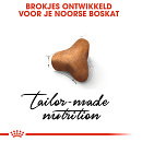 Royal Canin Kattenvoer Norwegian Forest Cat Adult 400 gr