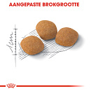 Royal Canin kattenvoer Protein Exigent 400 gr