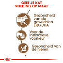 Royal Canin Kattenvoer Ageing 12+ in Jelly <br>12 x 85 gr