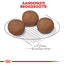 Royal Canin Hondenvoer Medium Puppy 10 kg