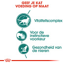 Royal Canin Kattenvoer Instinctive 7+ in Gravy 12 x 85 gr