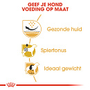 Royal Canin hondenvoer Pug Adult 7,5 kg