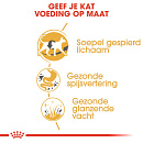 Royal Canin Kattenvoer Siamese Adult 4 kg