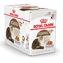 Royal Canin Kattenvoer Ageing 12+ in Jelly <br>12 x 85 gr