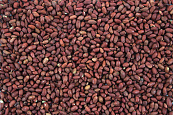 Pinda Gepeld 500 gr
