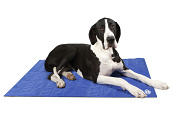 Scruffs Cooling Mat blue