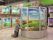 Impressie winkel
