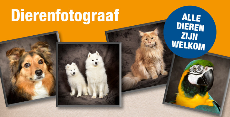 Een professionele foto van je huisdier!