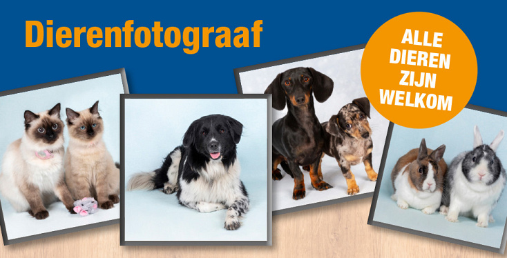 Een professionele foto van je huisdier!
