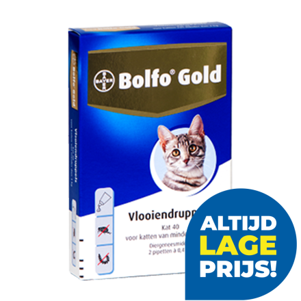 Bolfo Gold kat 40 <br>2 pipetten