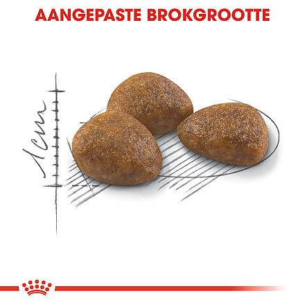 Royal Canin kattenvoer Outdoor 7+ 400 gr