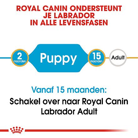 Royal Canin hondenvoer Labrador Retriever Puppy 3 kg