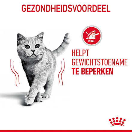 Royal Canin Kattenvoer Ultra Light Jelly <br>12 x 85 gr