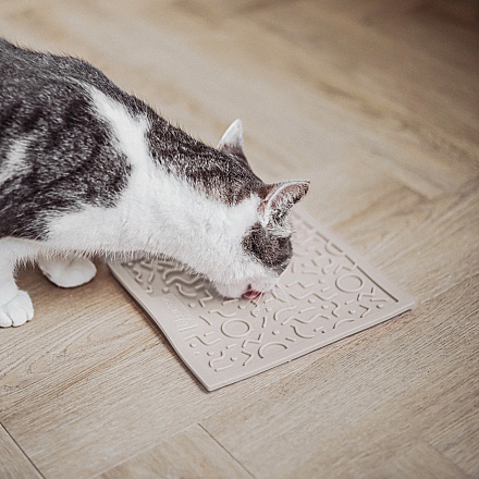 District 70 Likmat Quest Merengue<br> 20 x 20 cm