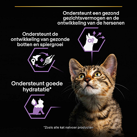 Pro Plan Kitten Kip Mousse 85 gr