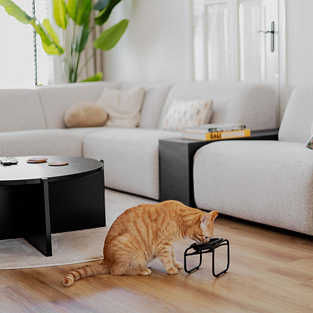 District 70 Voerbakstandaard Butler Enkel Zwart