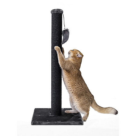 Petrebels Krabpaal Little Rebels Maine 90 Deluxe Pepper