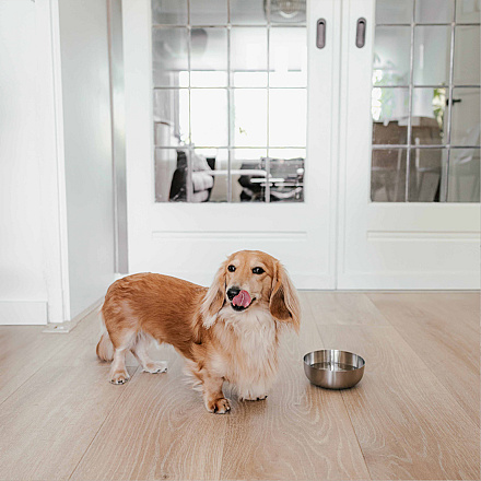 District 70 Voer- en Drinkbak Royal Silver