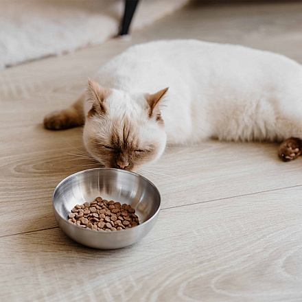 District 70 Voer- en Drinkbak Royal Silver