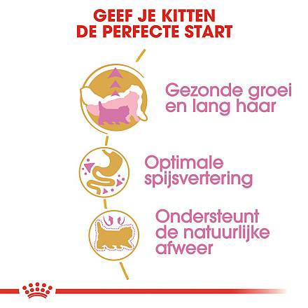 Royal Canin Kattenvoer Persian Kitten 400 gr