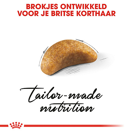 Royal Canin Kattenvoer British Shorthair Kitten 400 gr