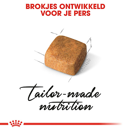 Royal Canin Kattenvoer Persian Kitten 4 kg