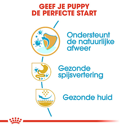 Royal Canin Hondenvoer French Bulldog Puppy 10 kg