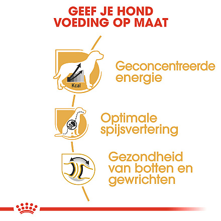 Royal Canin Hondenvoer Great Dane Adult 12 kg