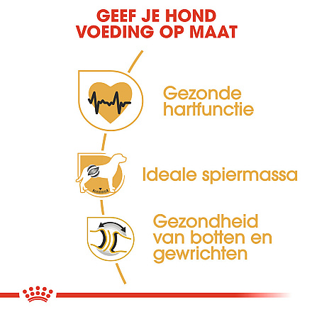 Royal Canin Hondenvoer Rottweiler Adult 12 kg