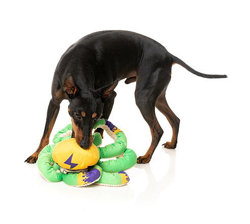 FuzzYard Octo-Pose Octo the Outrageous