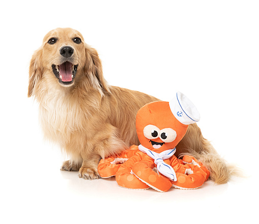 FuzzYard Octo-Pose Sailor Squiggles