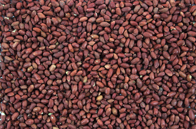 Pinda Gepeld 500 gr